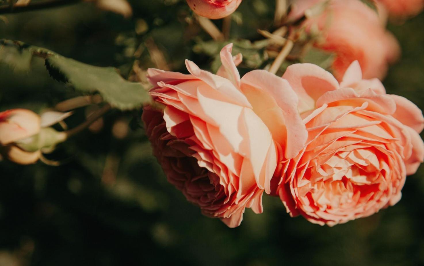 Fresh seasonal flower arrangement