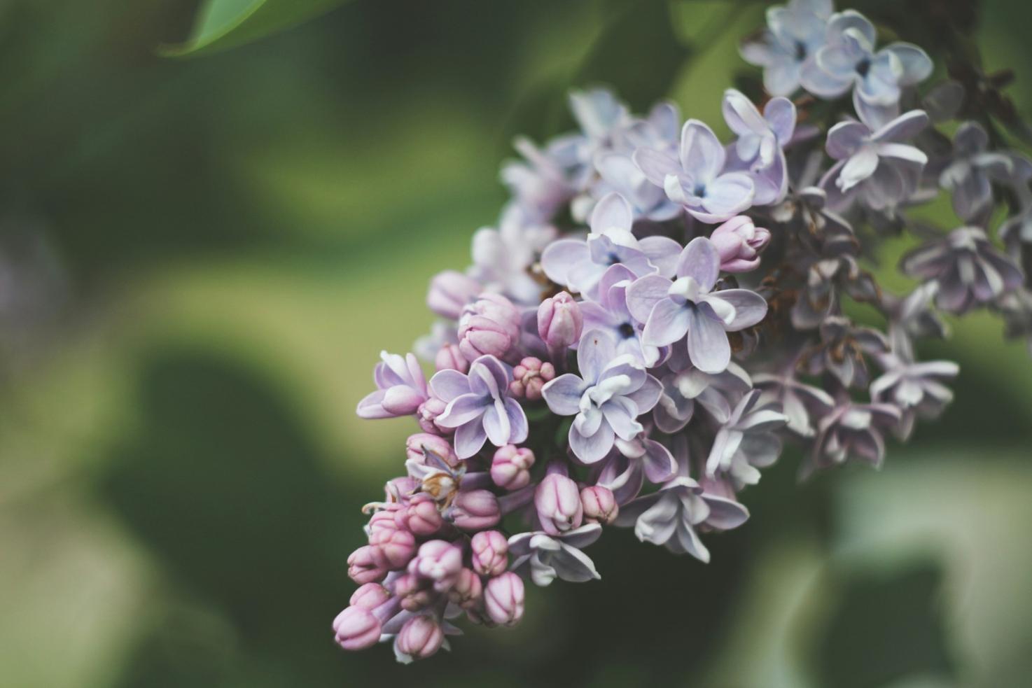 Flower arrangement consultation process